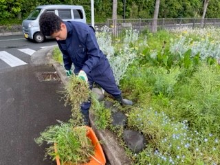 3年　花壇2